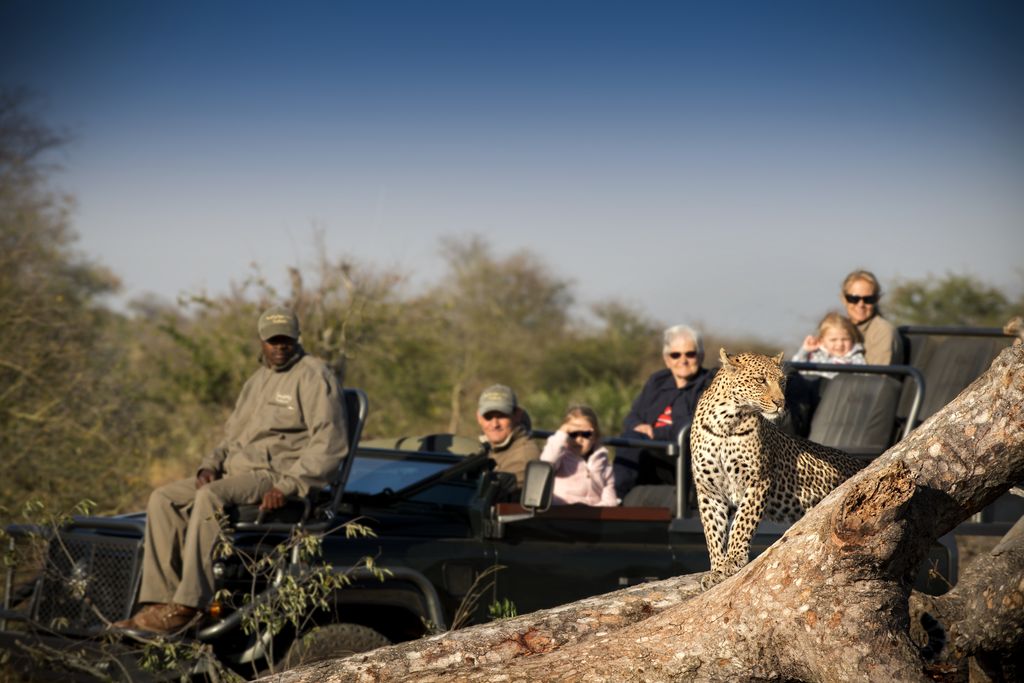 Rockfig Safari Lodge