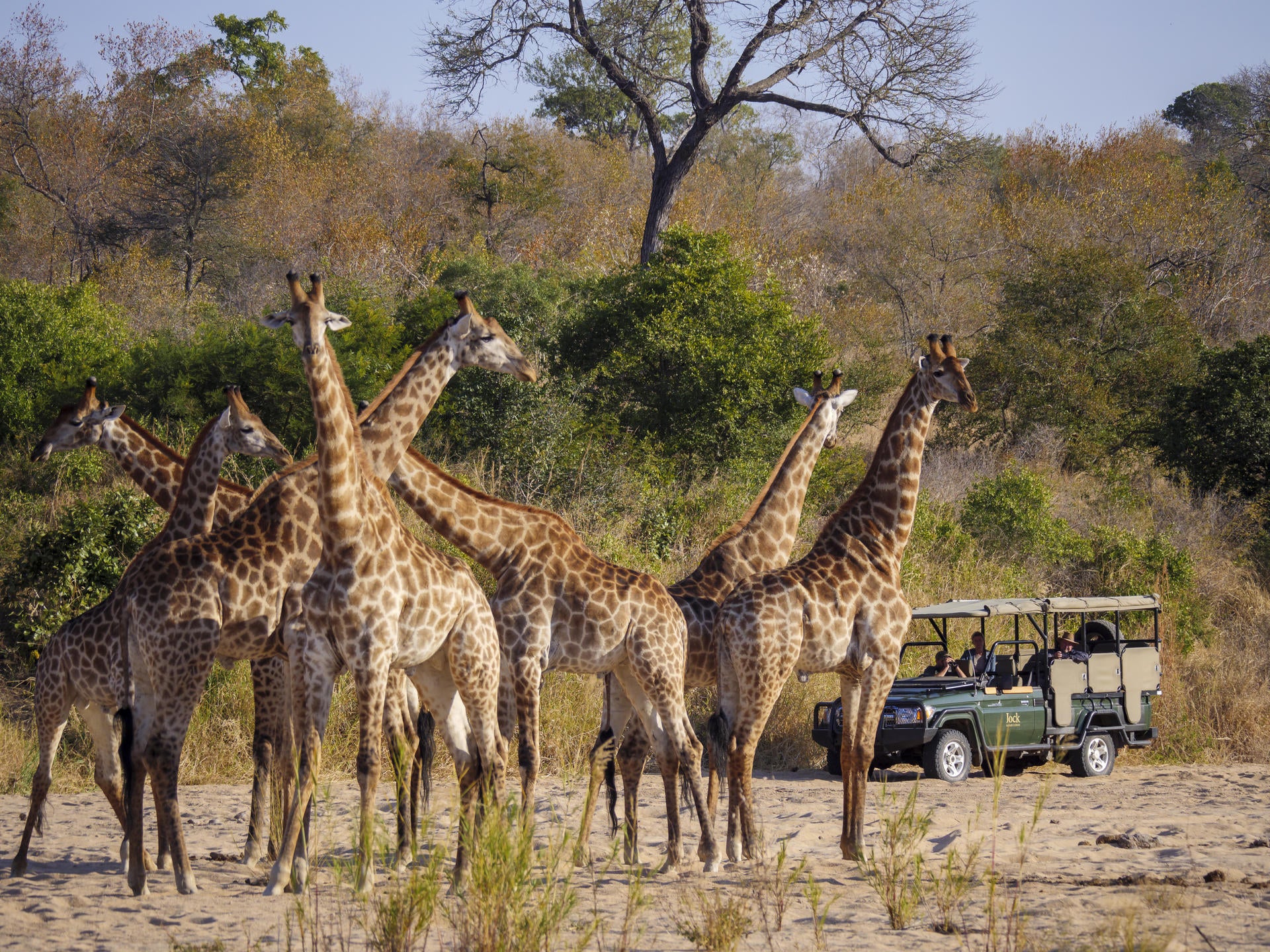 Jock Safari Lodge