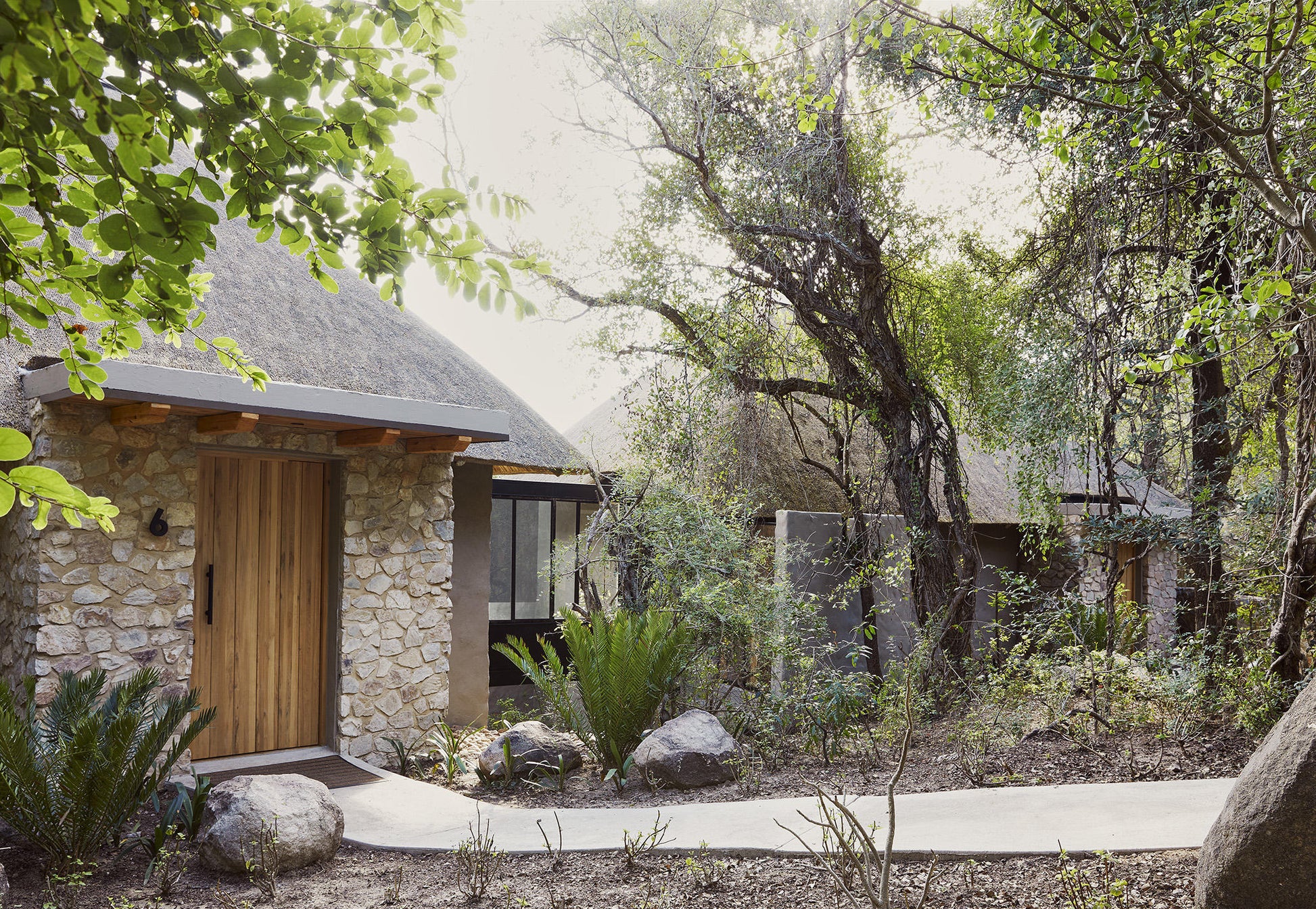 Londolozi Founders Camp