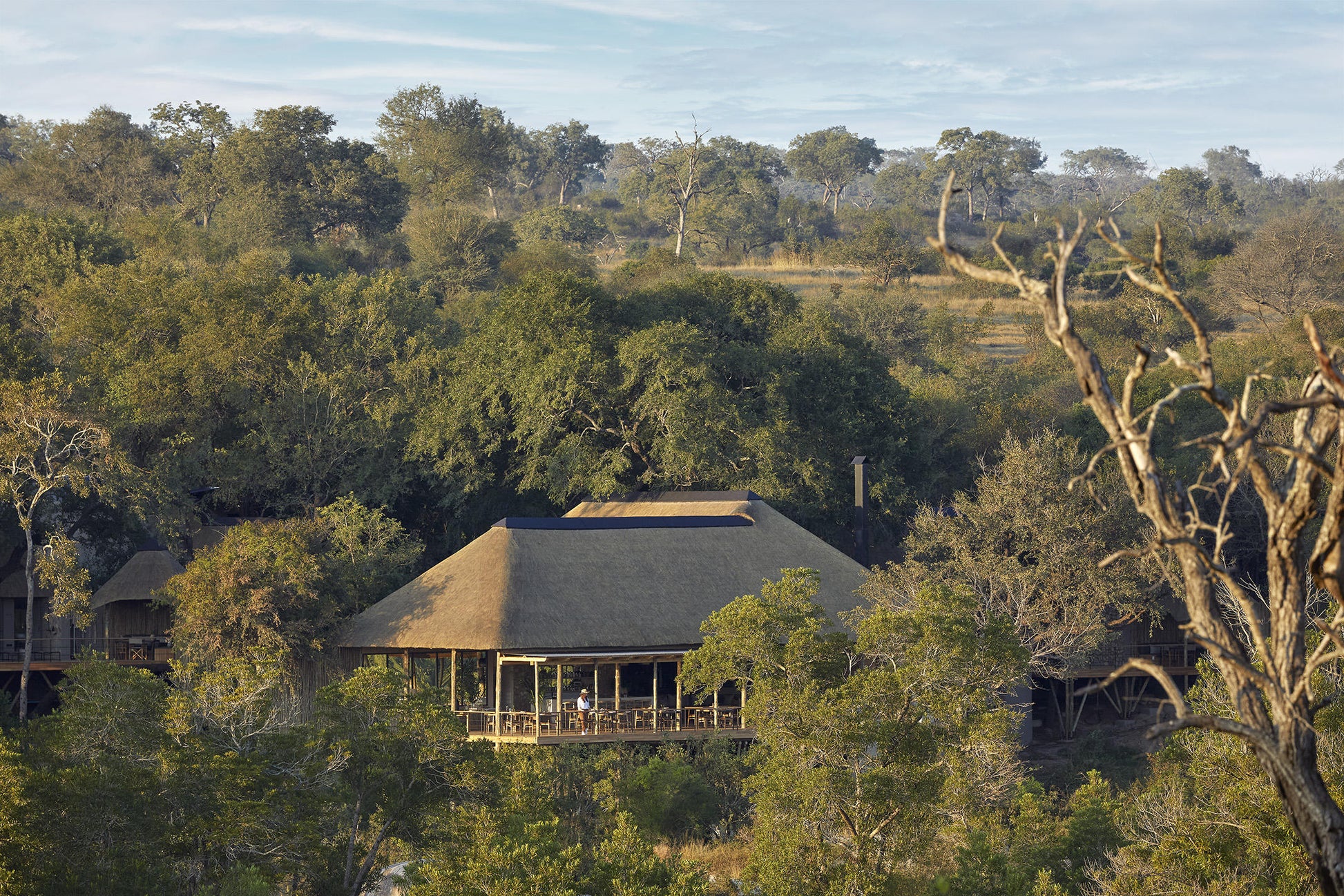 Londolozi Founders Camp