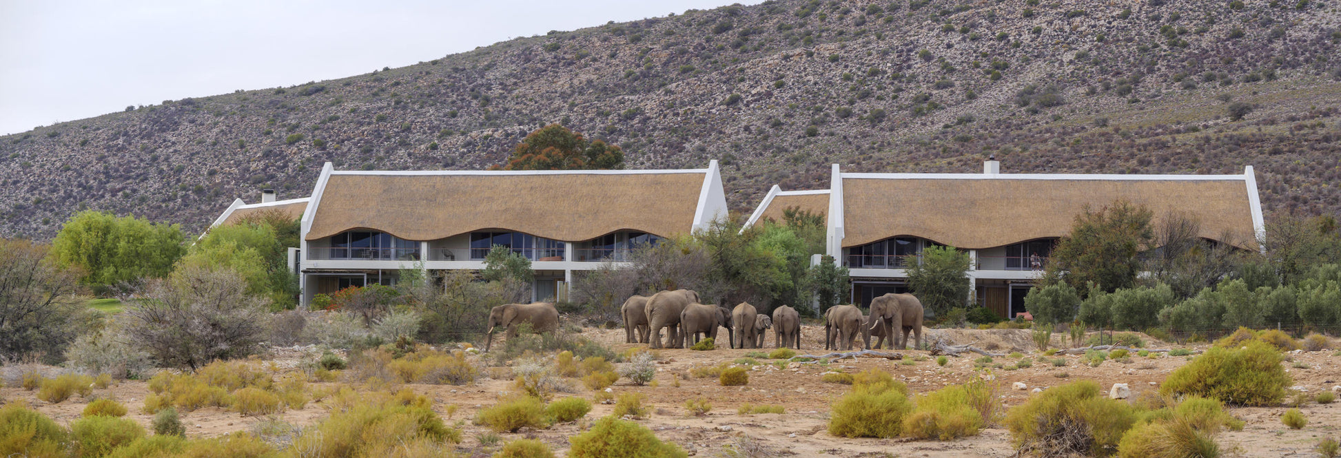 Gondwana Family Lodge