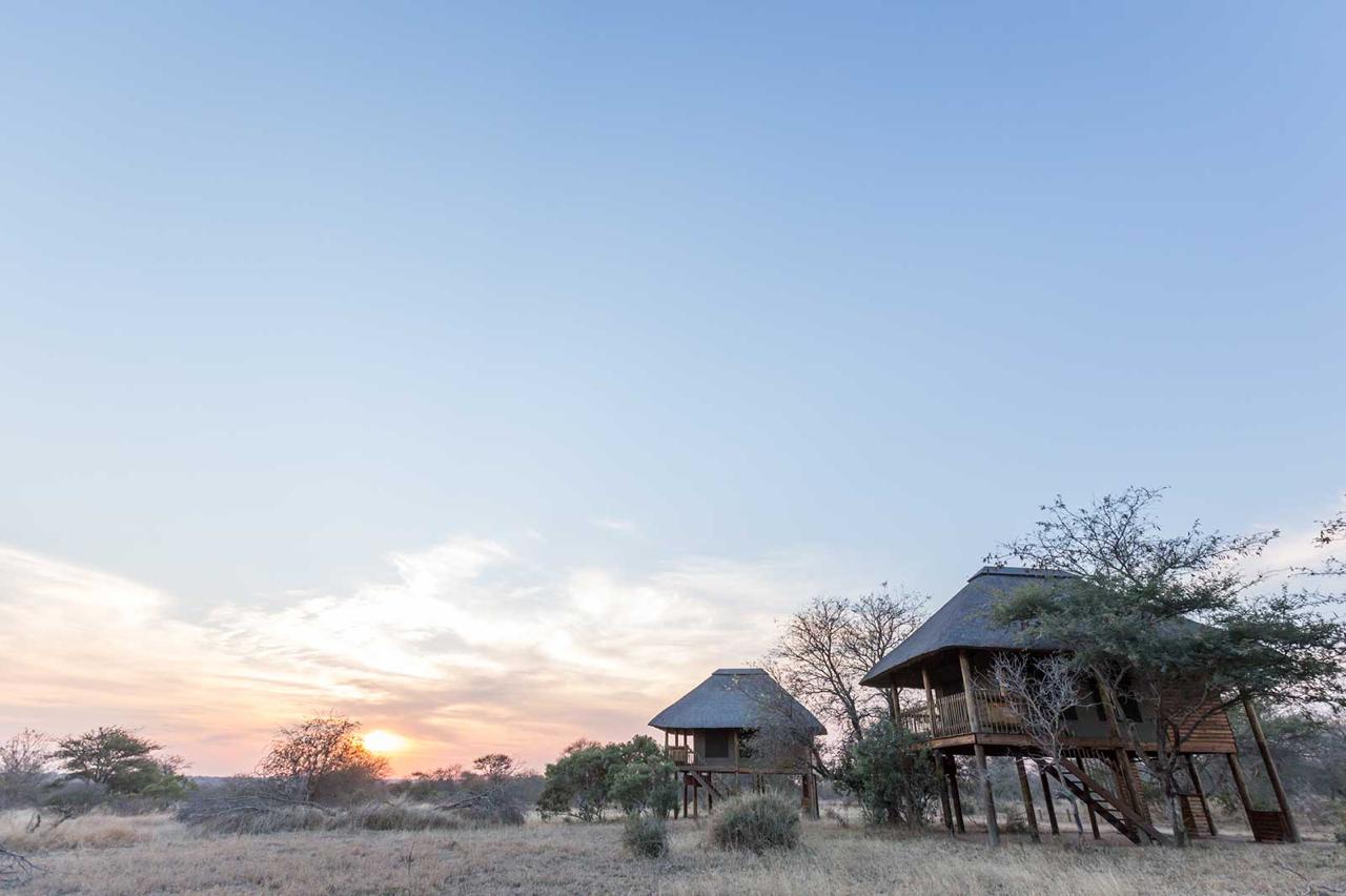 nThambo Tree Camp