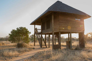 nThambo Tree Camp
