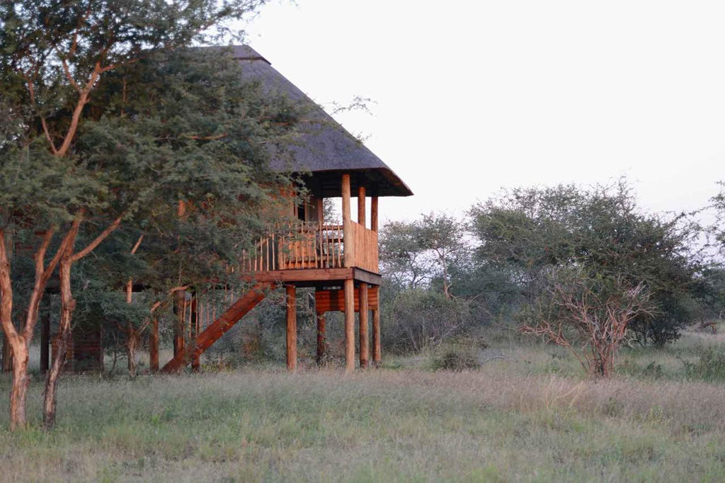 nThambo Tree Camp