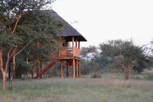 nThambo Tree Camp