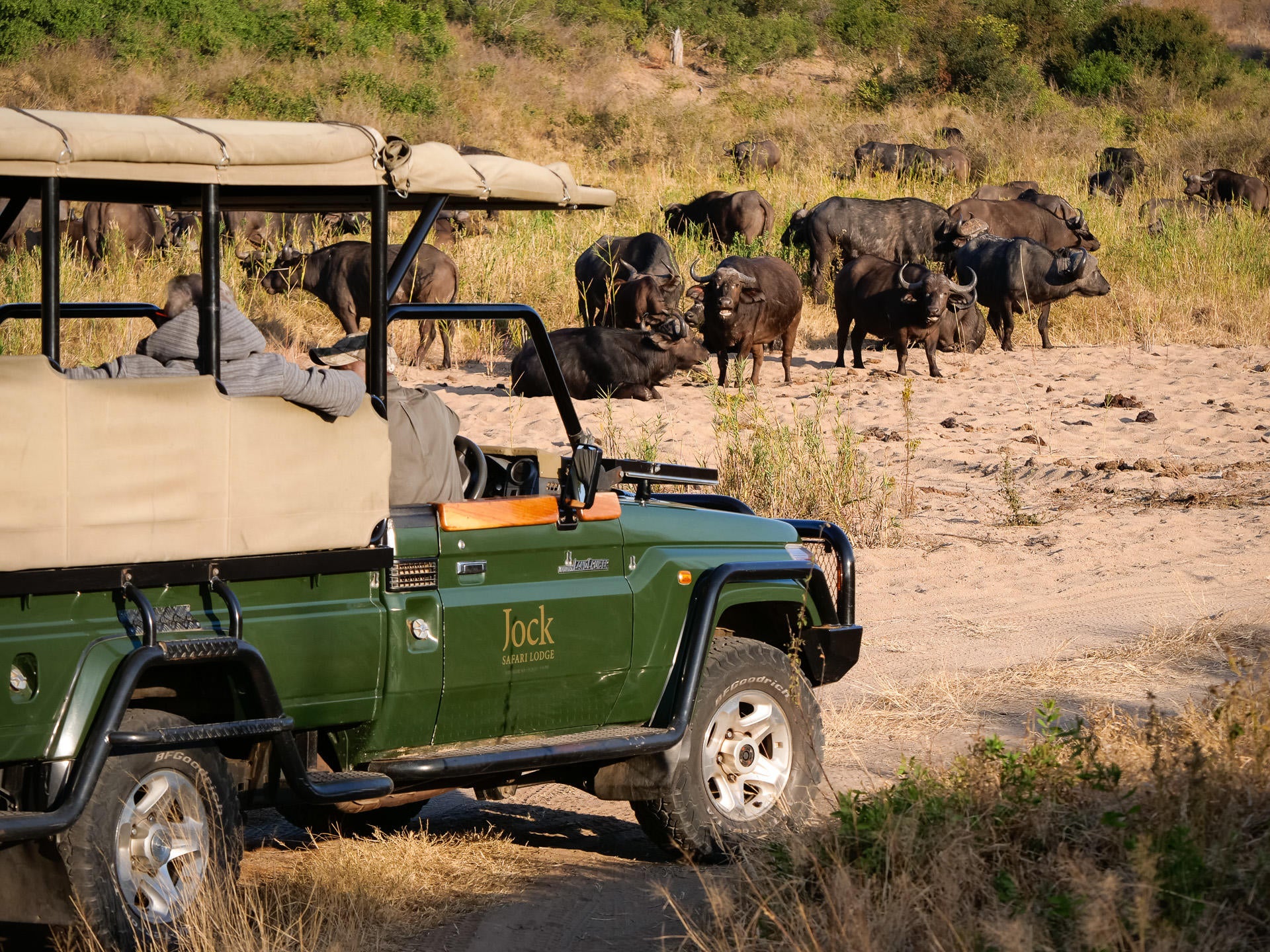 Jock Safari Lodge