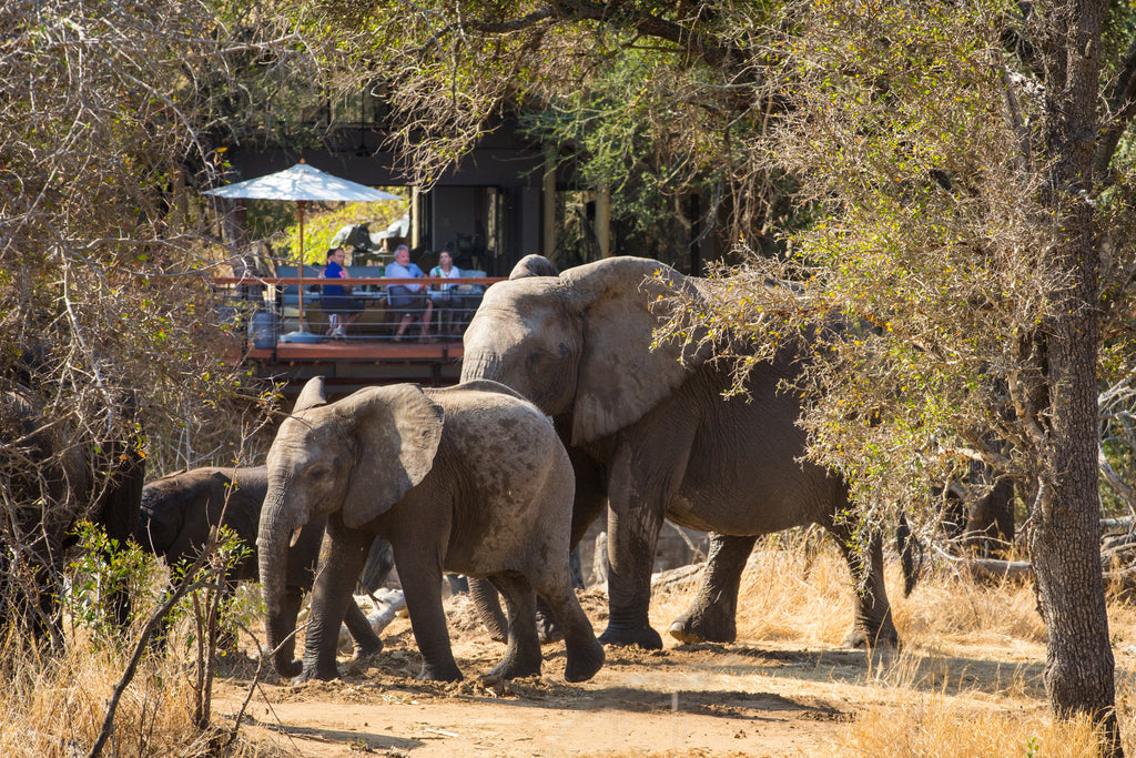 Serondella Safari Lodge