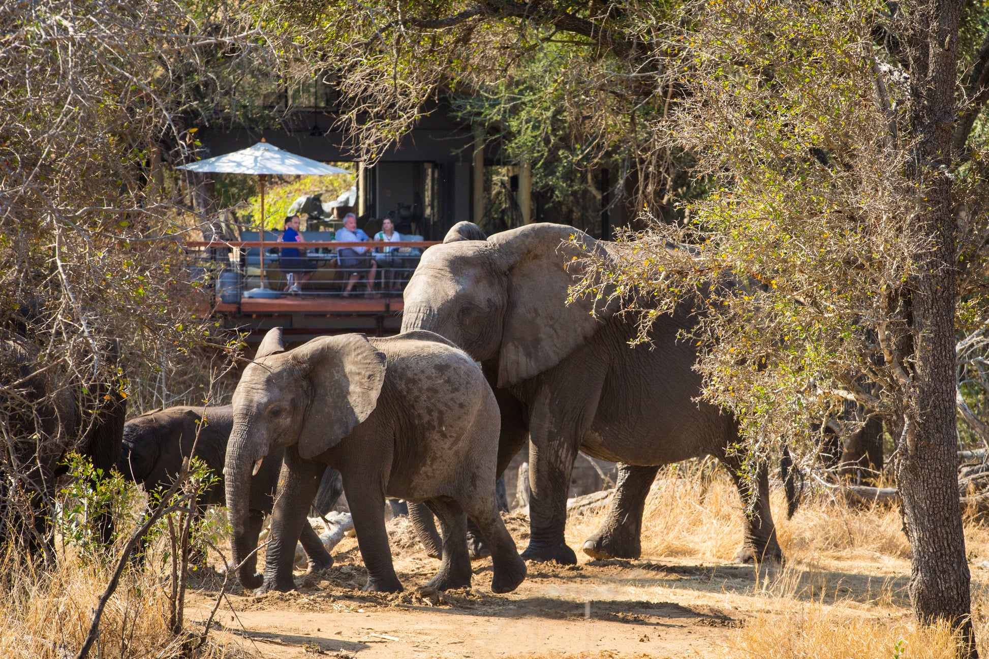 Serondella Safari Lodge