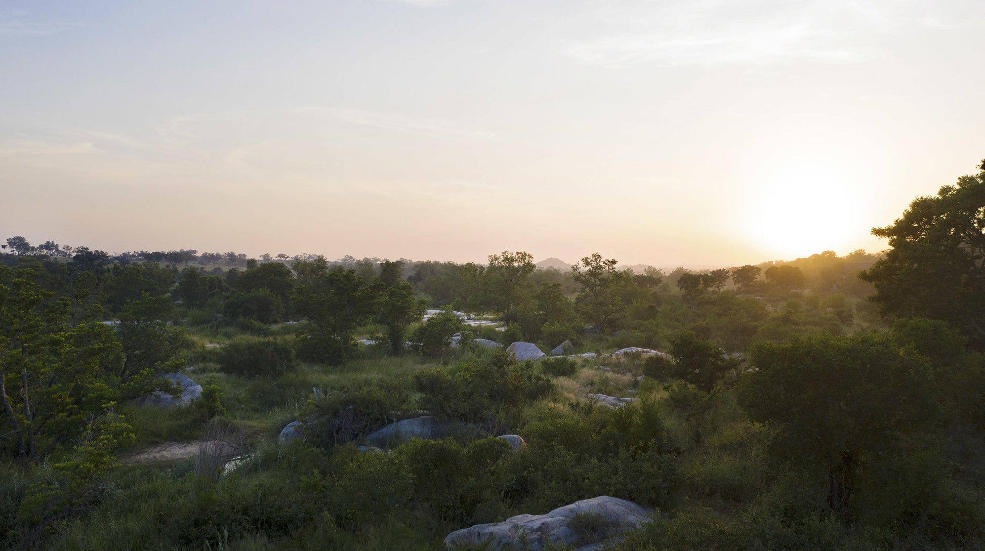 Londolozi Pioneer Camp