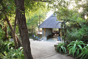 Londolozi Pioneer Camp