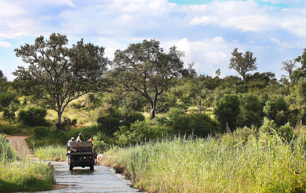 Londolozi Varty Camp