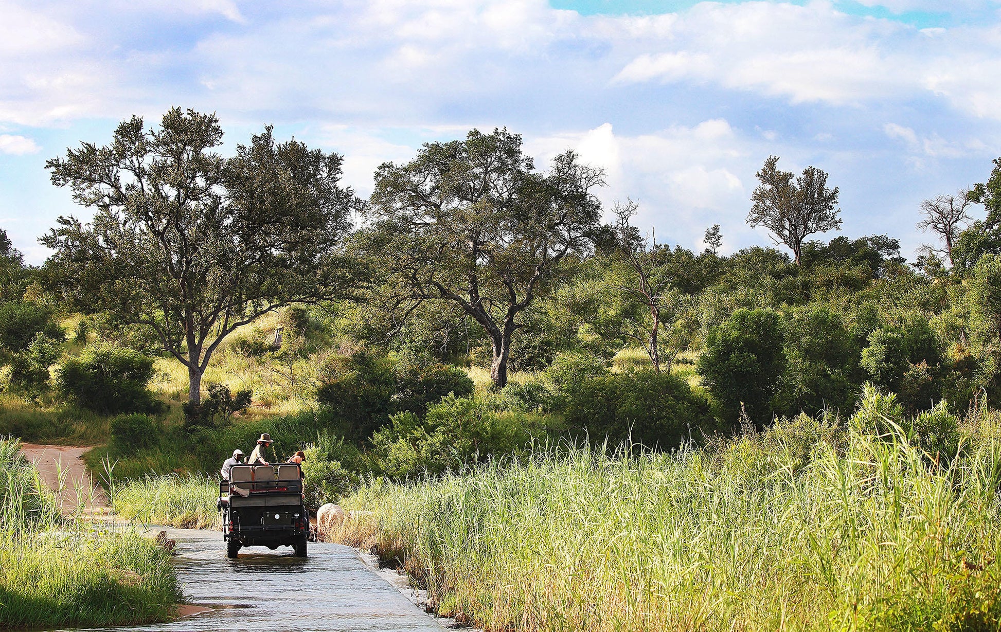 Londolozi Varty Camp