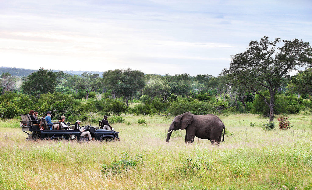 Londolozi Private Granite Suites