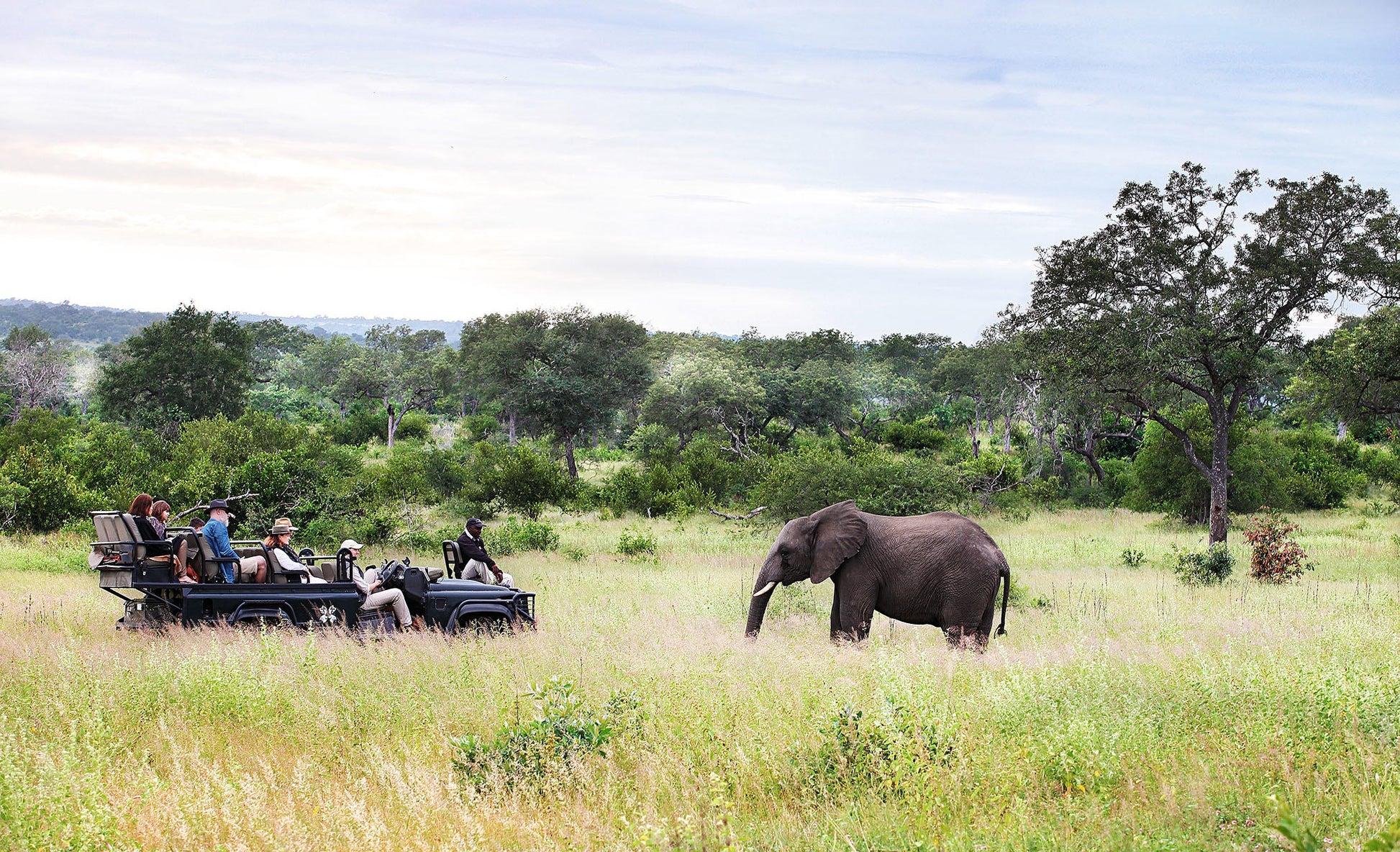Londolozi Private Granite Suites