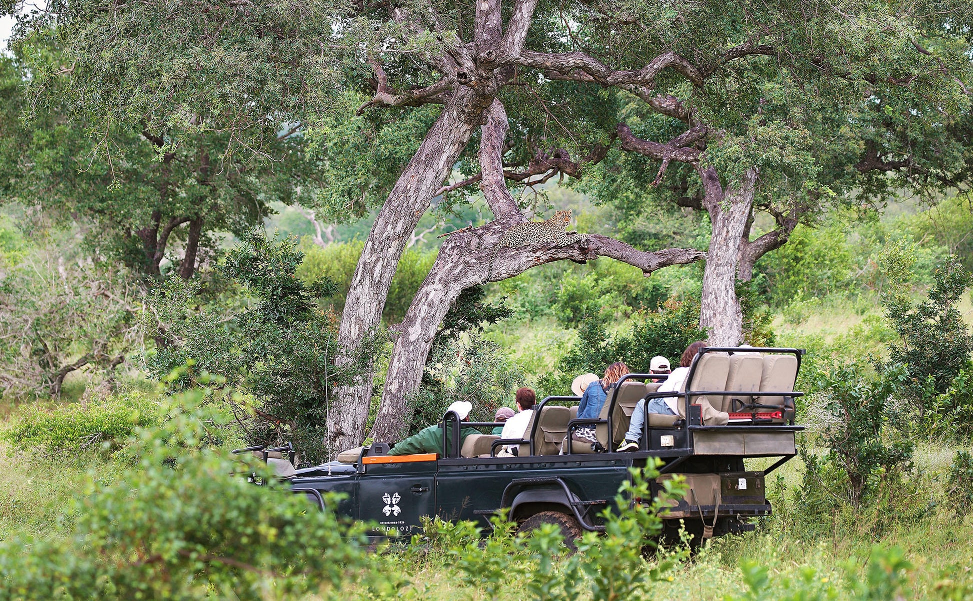 Londolozi Private Granite Suites