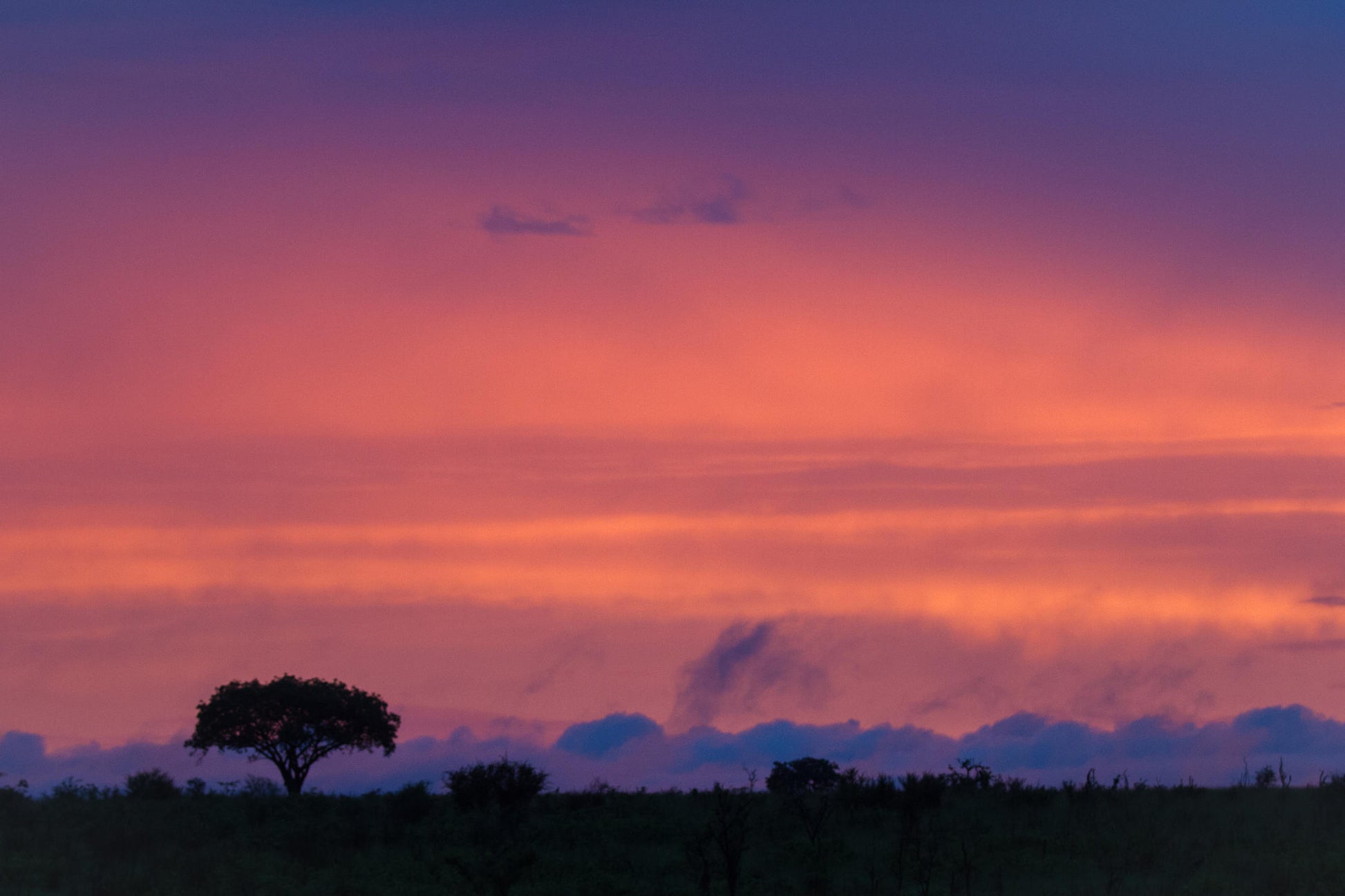 Londolozi Varty Camp