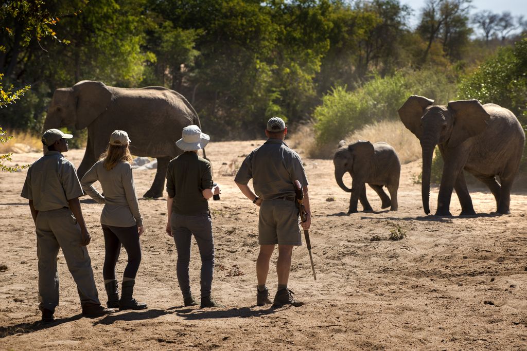 Rockfig Safari Lodge